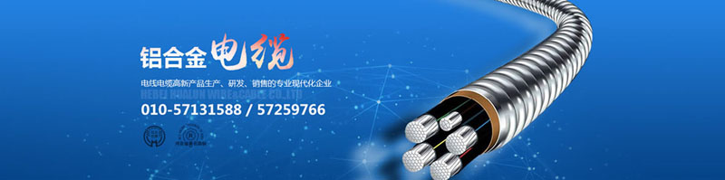 滄州市統(tǒng)計(jì)工作規(guī)范化建設(shè)推進(jìn)會(huì)在華倫公司順利召開！