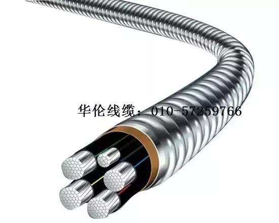 滄州市統(tǒng)計工作規(guī)范化建設(shè)推進會在華倫公司順利召開！