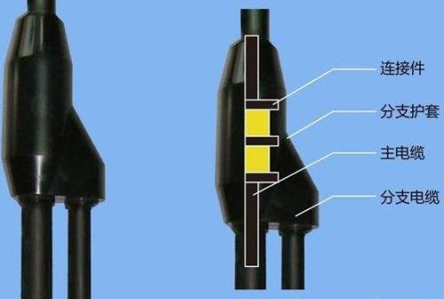 1560216428302199.jpg u=2341282493,1491301768&fm=26&gp=0.jpg